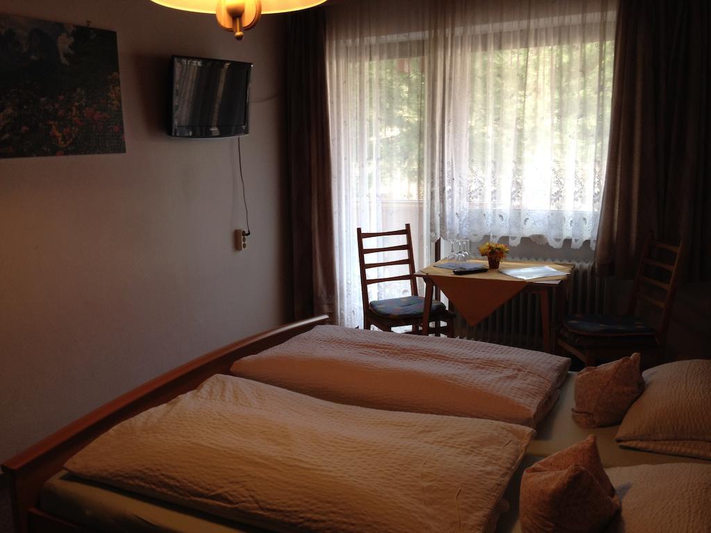 Gasthaus Pension Sternknockel Bodenmais Rum bild