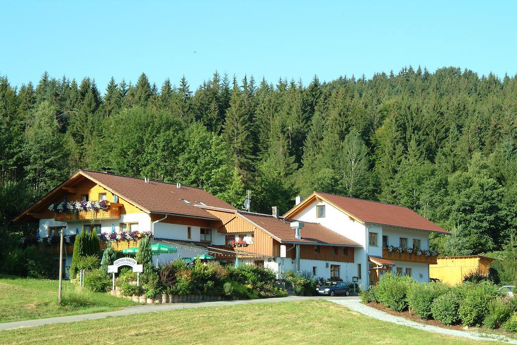 Gasthaus Pension Sternknockel Bodenmais Exteriör bild
