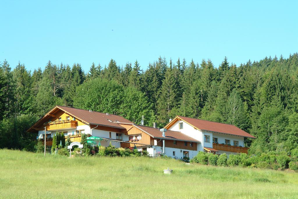 Gasthaus Pension Sternknockel Bodenmais Exteriör bild