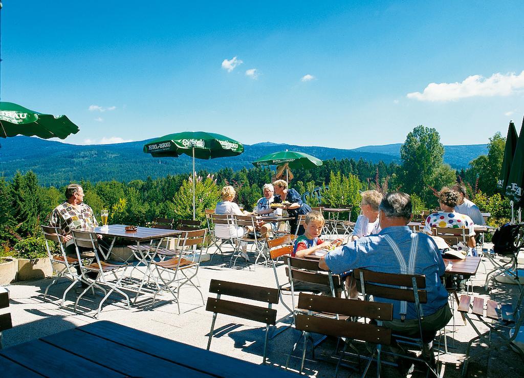 Gasthaus Pension Sternknockel Bodenmais Exteriör bild