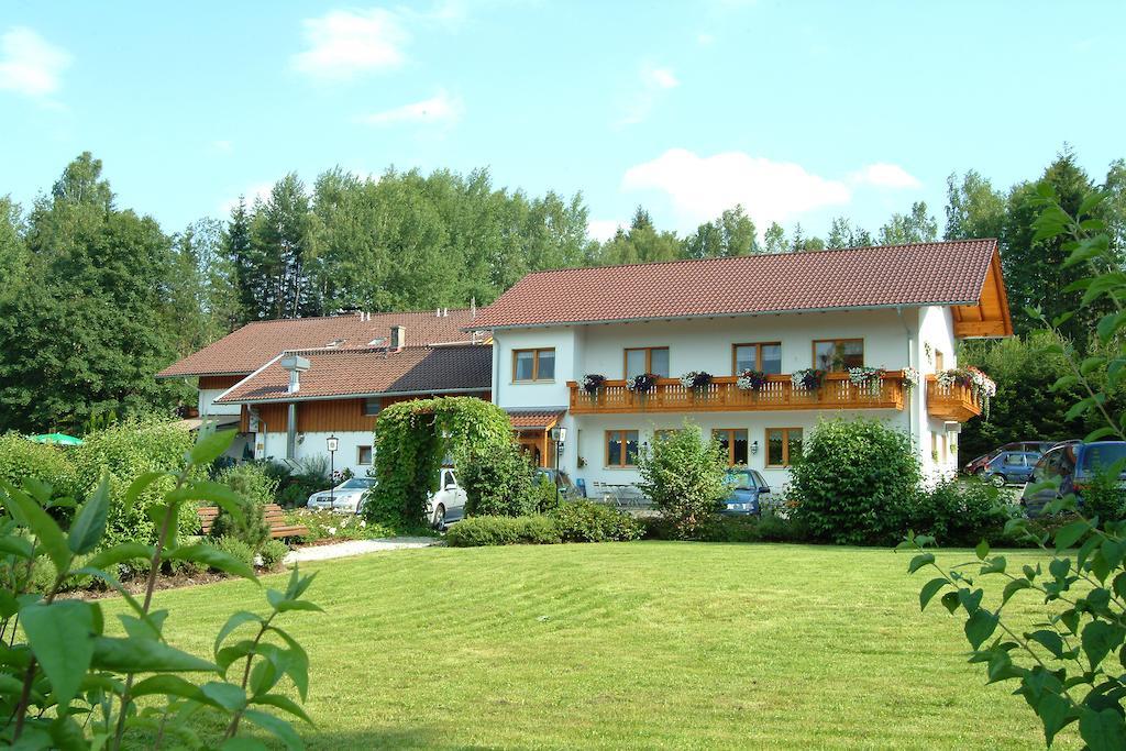 Gasthaus Pension Sternknockel Bodenmais Exteriör bild